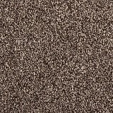 Mohawk CarpetDynamic Quality I
